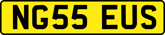 NG55EUS