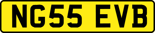 NG55EVB