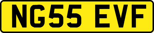 NG55EVF