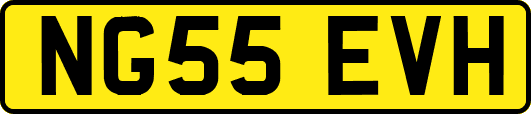 NG55EVH