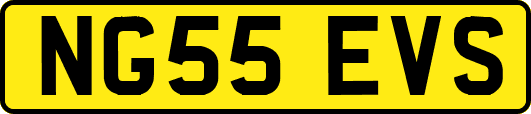 NG55EVS