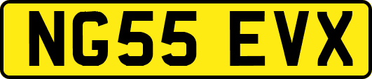 NG55EVX