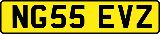 NG55EVZ