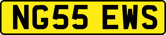 NG55EWS