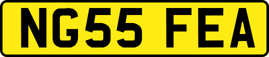 NG55FEA