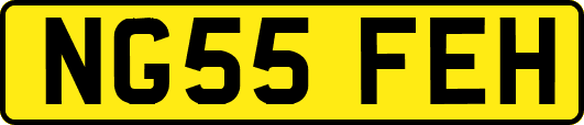 NG55FEH