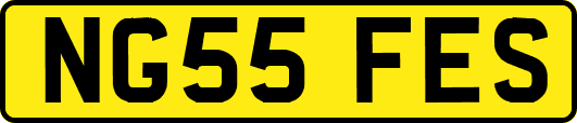 NG55FES