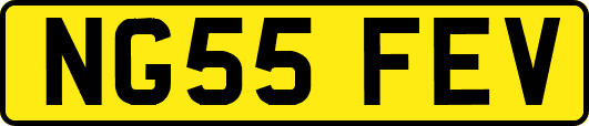 NG55FEV