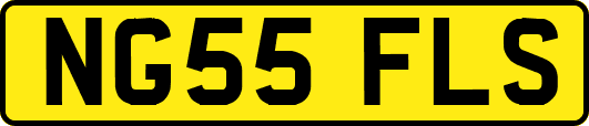 NG55FLS