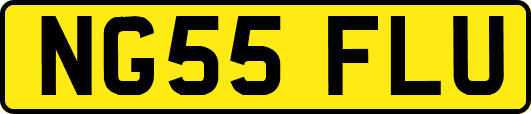 NG55FLU