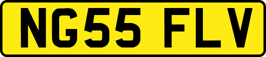 NG55FLV