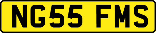 NG55FMS