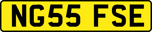NG55FSE