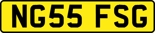 NG55FSG