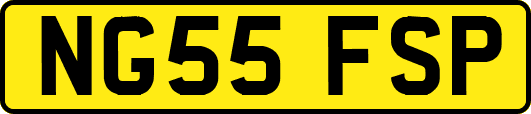 NG55FSP