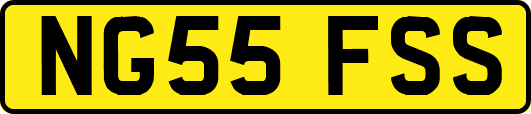 NG55FSS