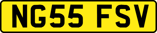 NG55FSV