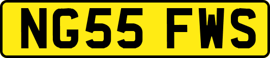 NG55FWS
