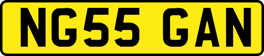 NG55GAN