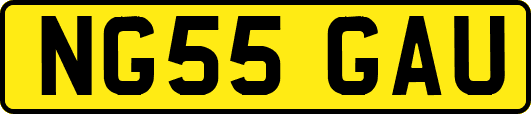 NG55GAU