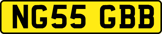 NG55GBB