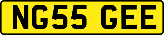 NG55GEE