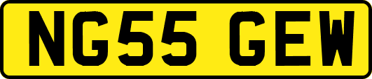 NG55GEW