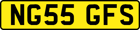 NG55GFS