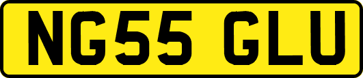 NG55GLU