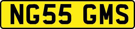 NG55GMS