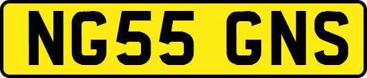 NG55GNS