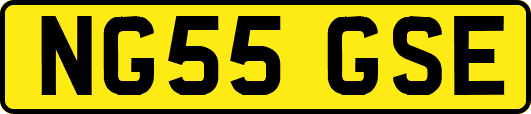 NG55GSE