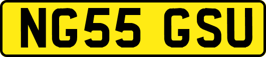NG55GSU
