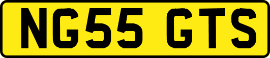 NG55GTS