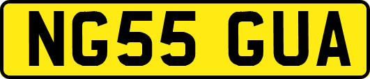 NG55GUA