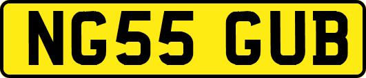 NG55GUB