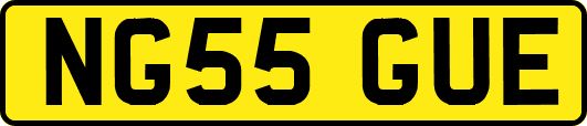 NG55GUE