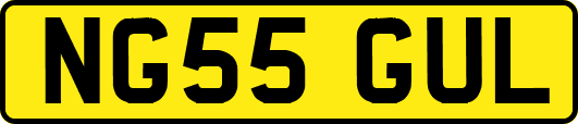 NG55GUL