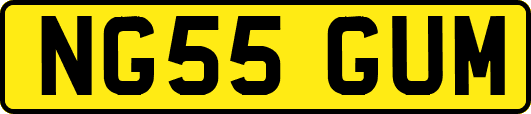 NG55GUM