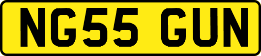 NG55GUN