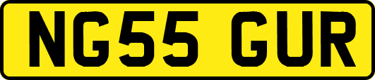 NG55GUR