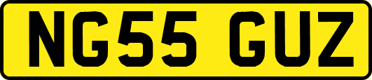 NG55GUZ