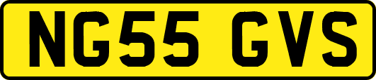 NG55GVS