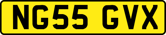 NG55GVX