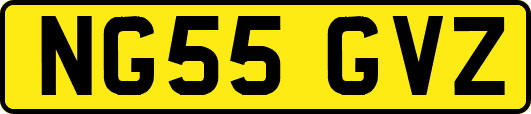 NG55GVZ