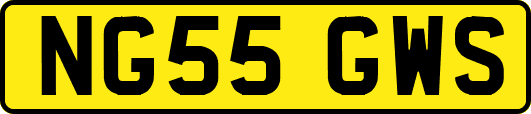 NG55GWS
