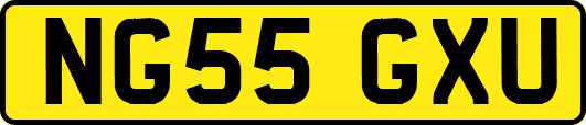 NG55GXU