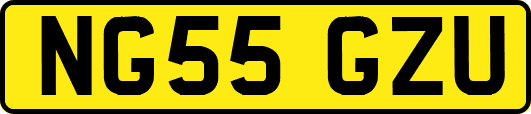 NG55GZU