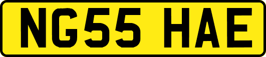 NG55HAE