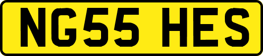 NG55HES